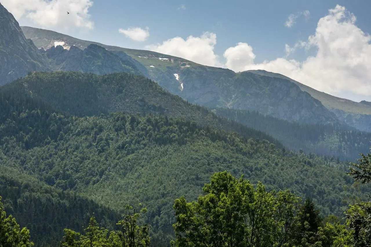 Apartment Rent Like Home - Chalubinskiego Zakopane